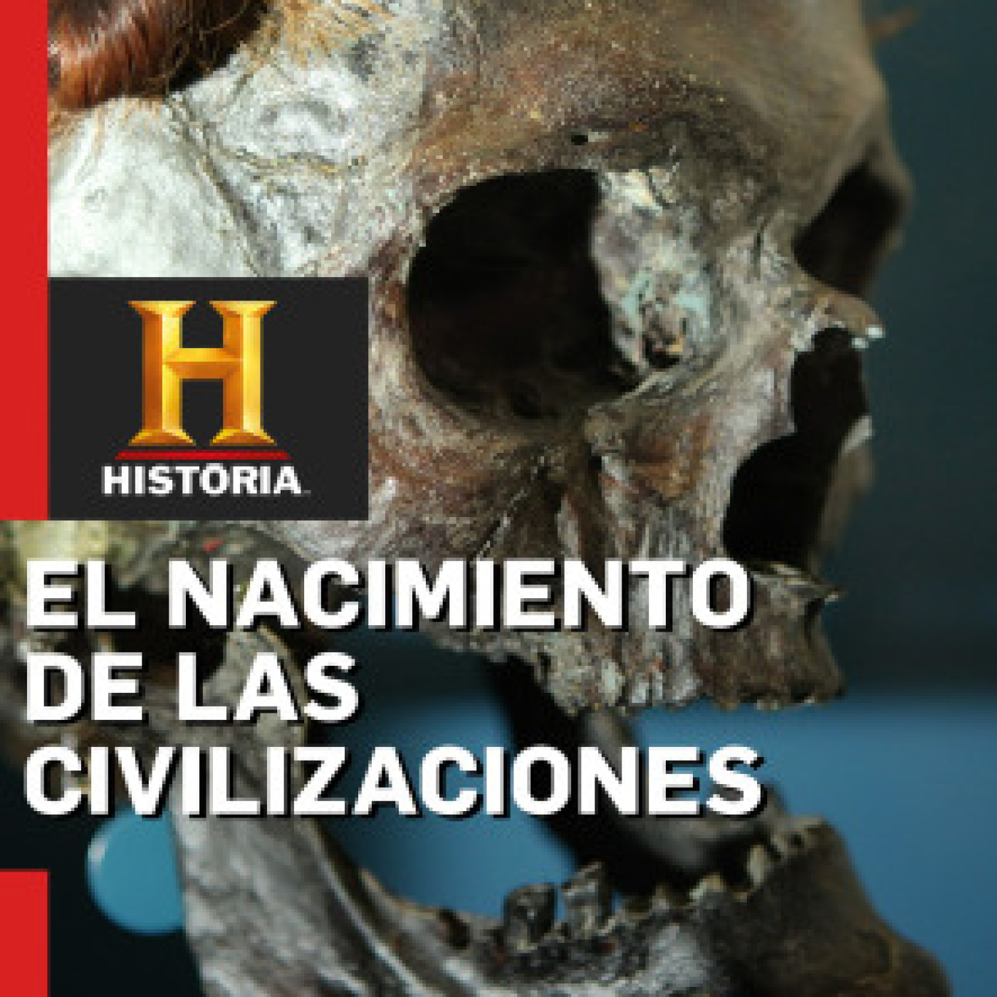 El nacimiento de las civilizaciones: Los árabes