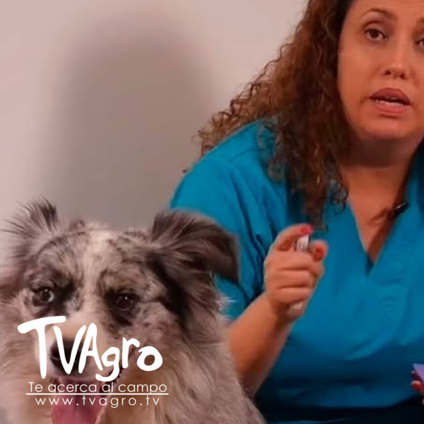 TV AGRO