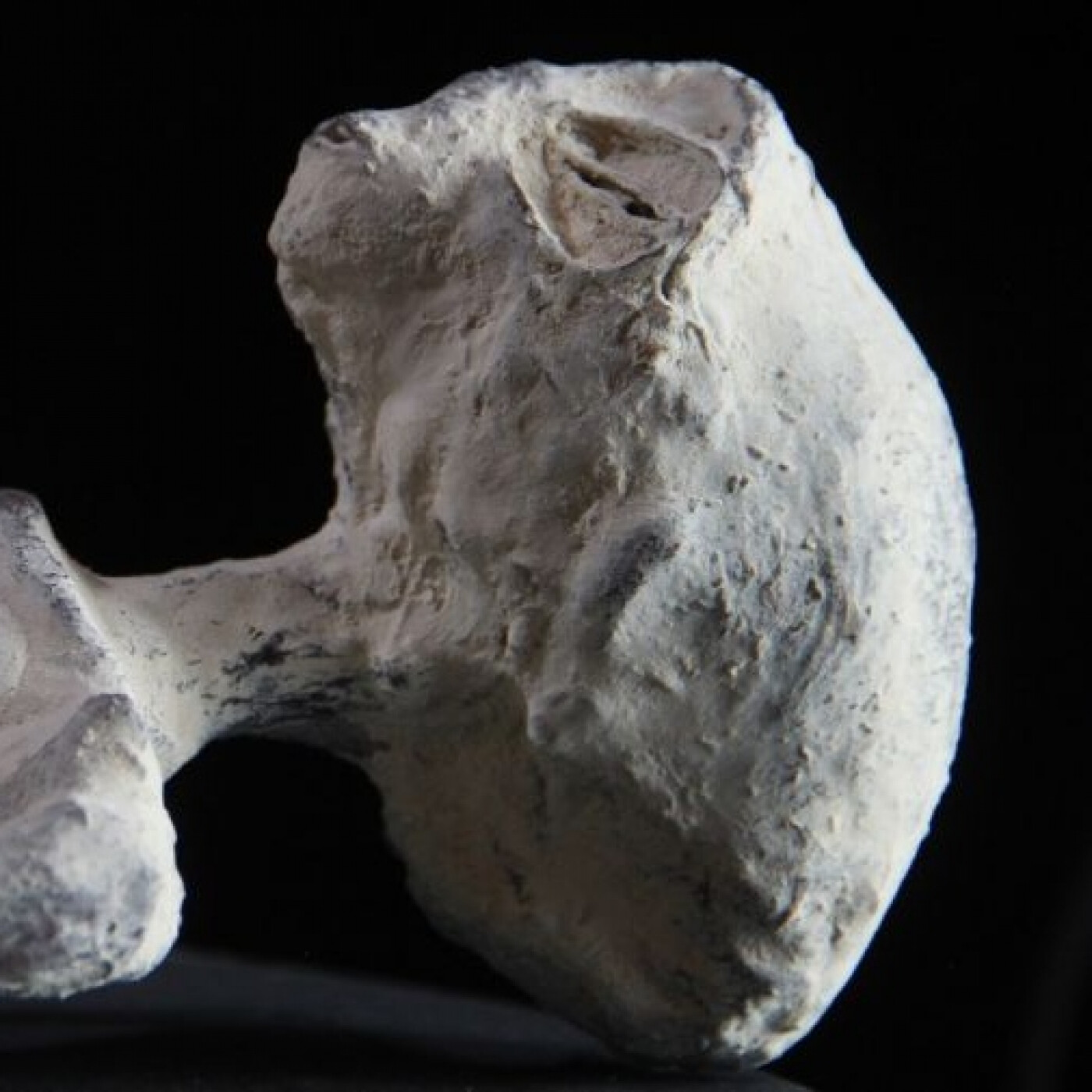 Episodio 43. Momias alienígenas - Los grises