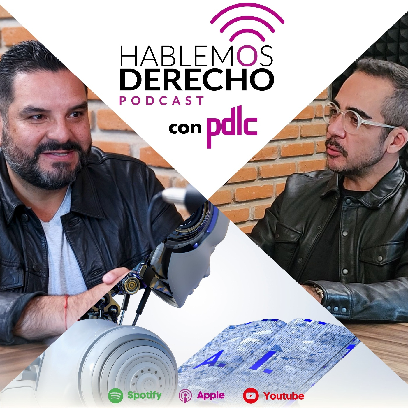 Hablemos Derecho con pdlc