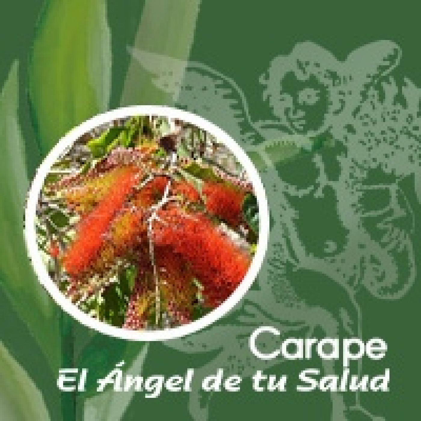 El Ángel de tu Salud - CARAPE ** episode artwork