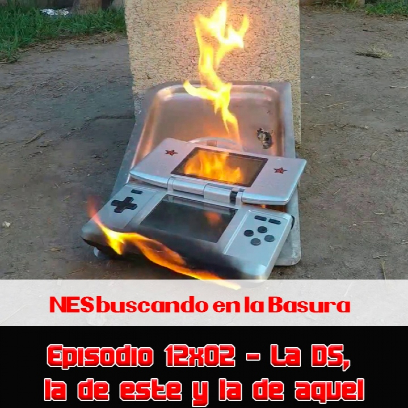 NESbuscando en la Basura
