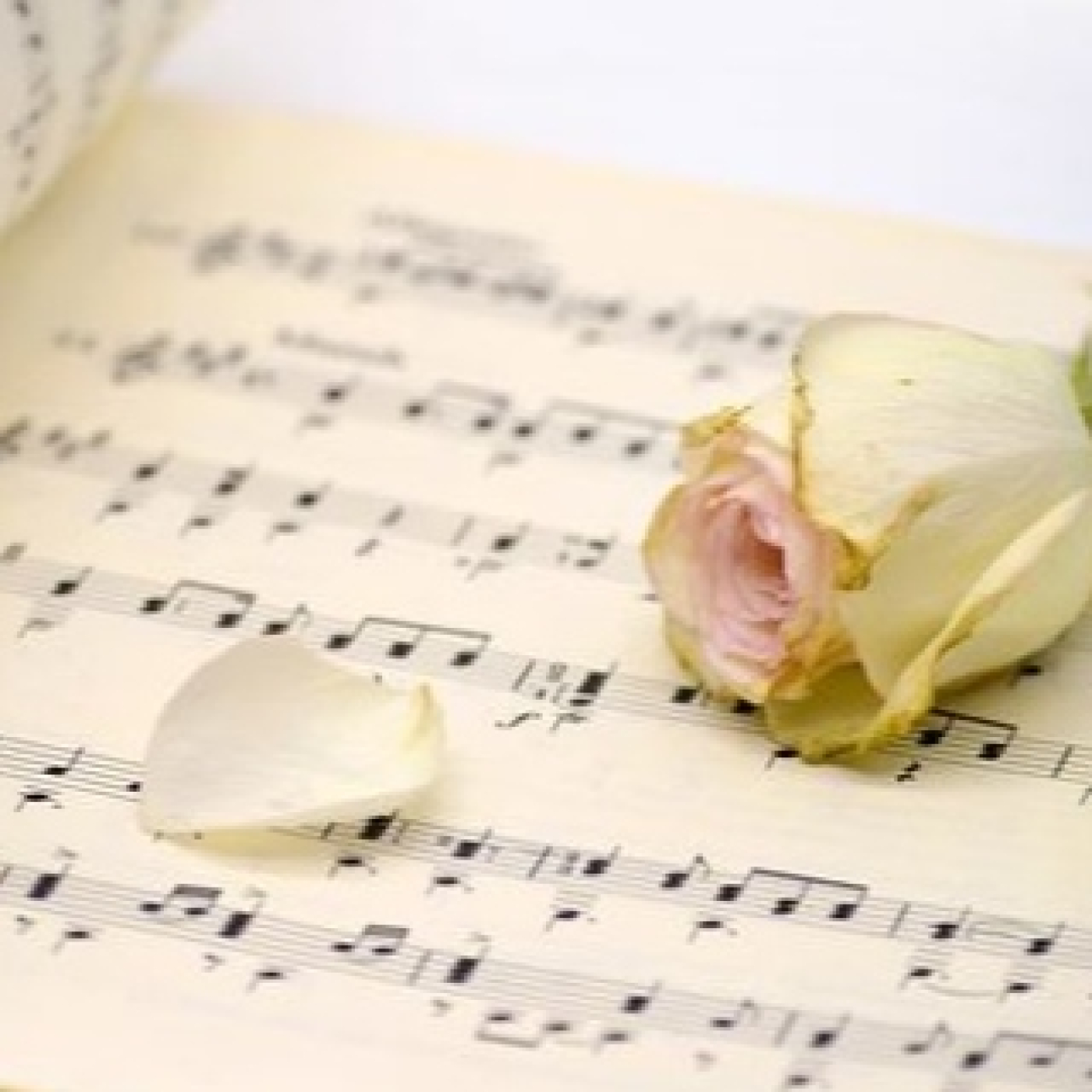 Cantar sin pausa
