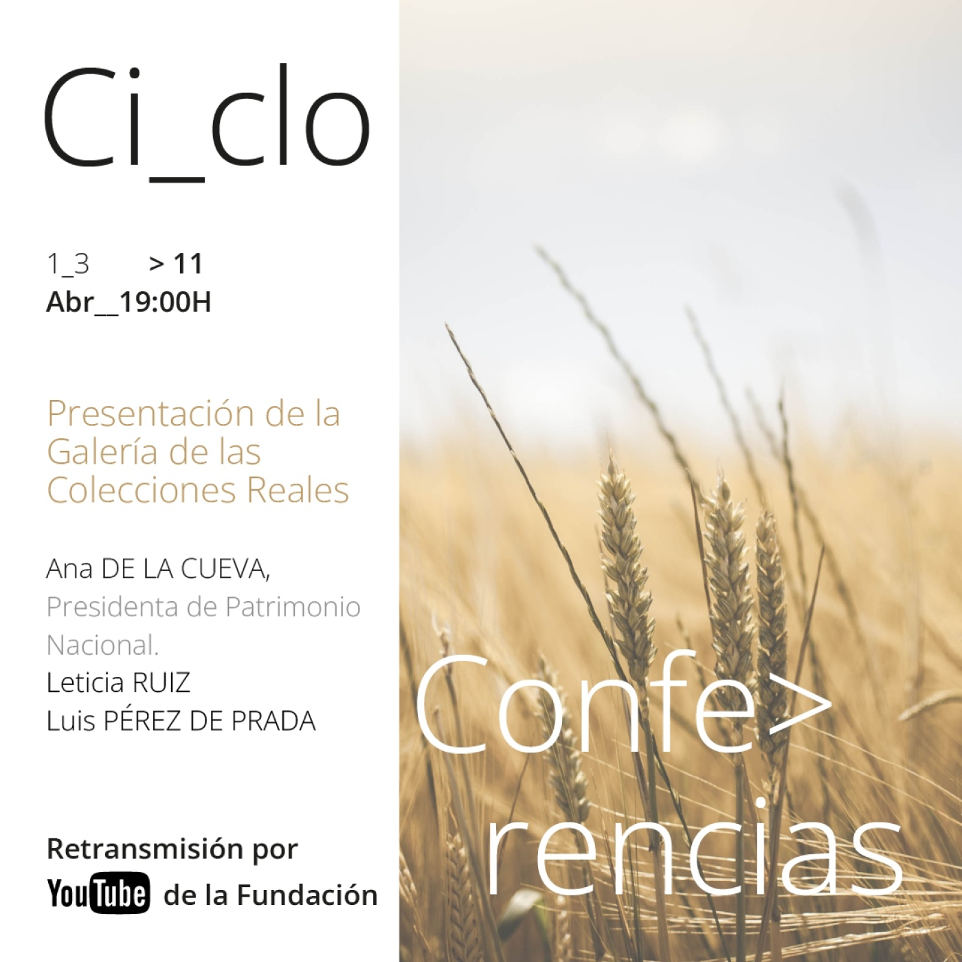 Conferencias