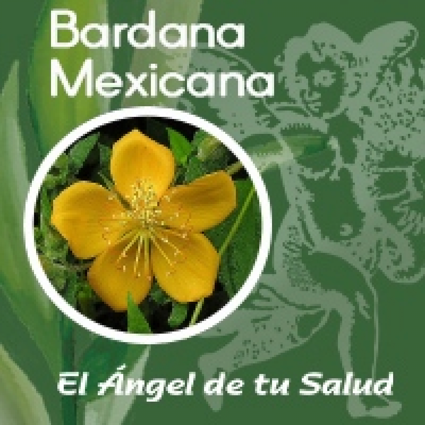 El Ángel de tu Salud - Bardana Mexicana* episode artwork