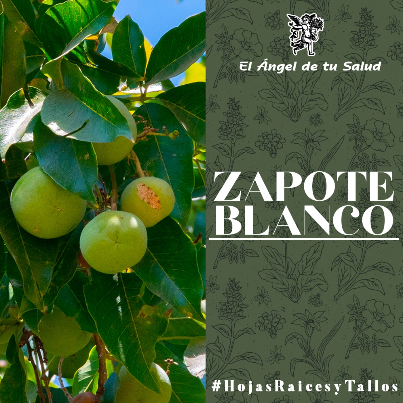 El Ángel de tu Salud - Zapote Blanco** episode artwork