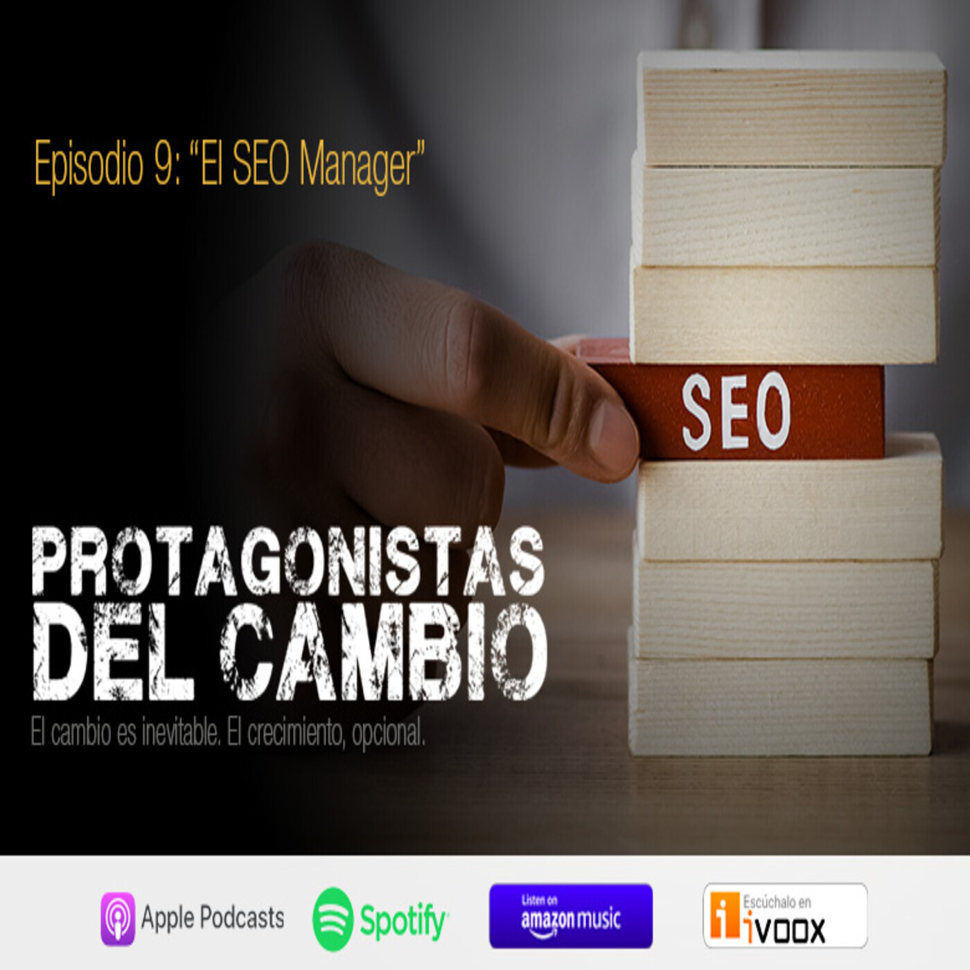 [9] El SEO Manager episode artwork