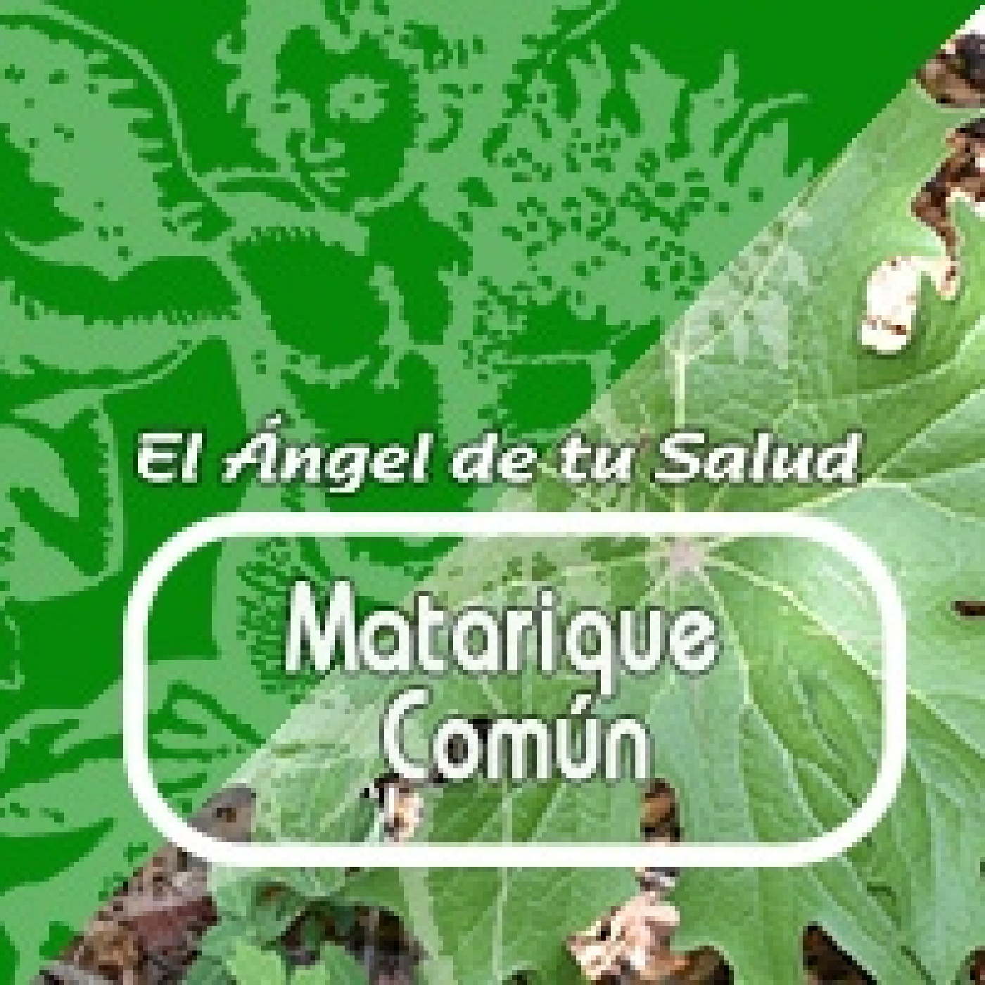 El Ángel de tu Salud- MATARIQUE COMÚN episode artwork