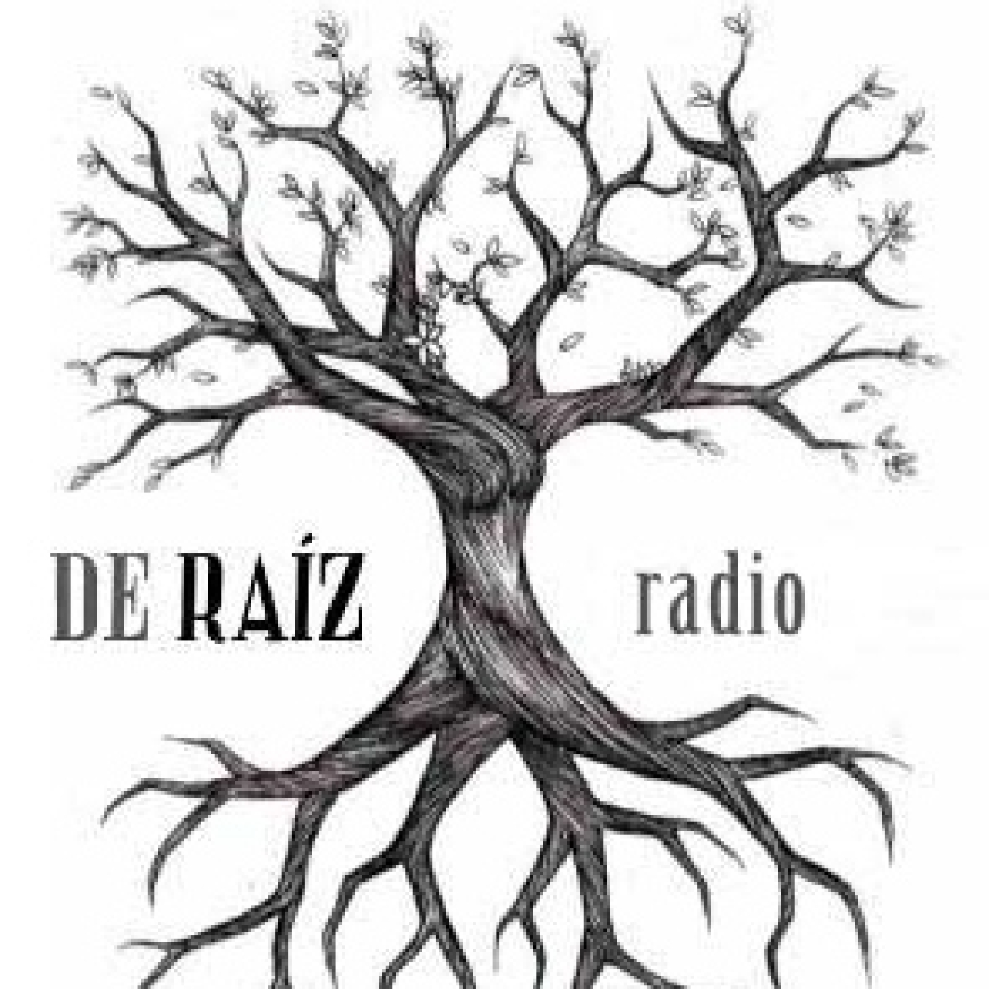 De Raíz Radio