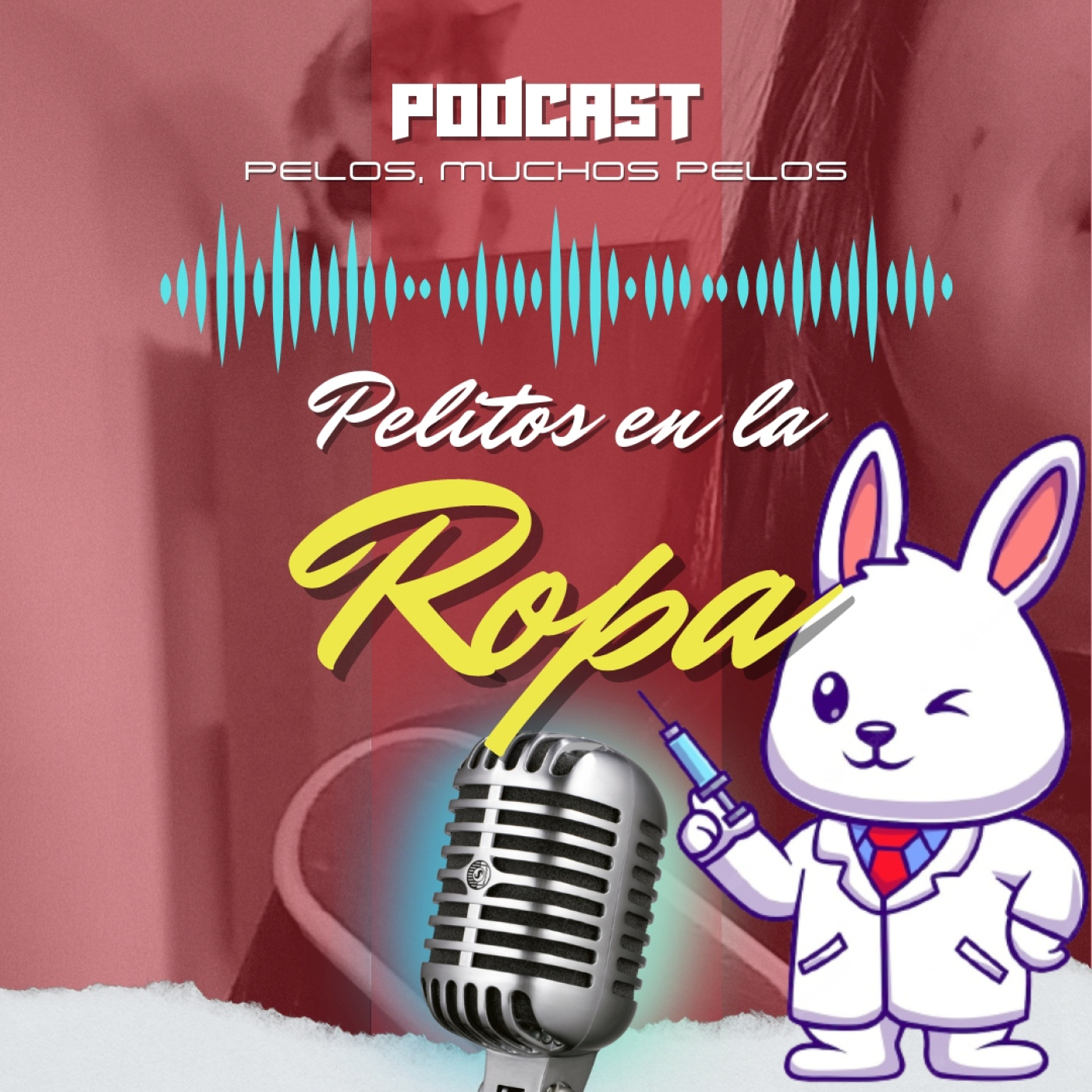 PELR: Pelitos en la Ropa