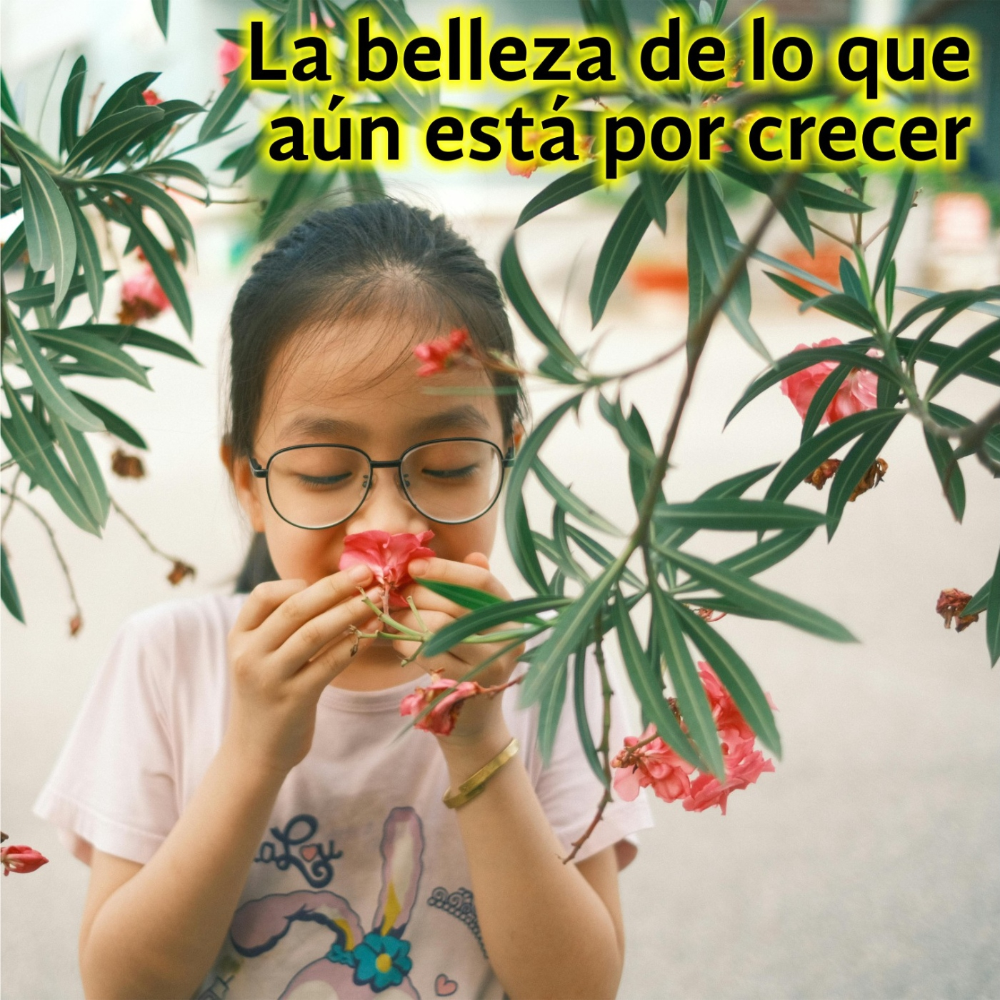 La vida hay que vivirla