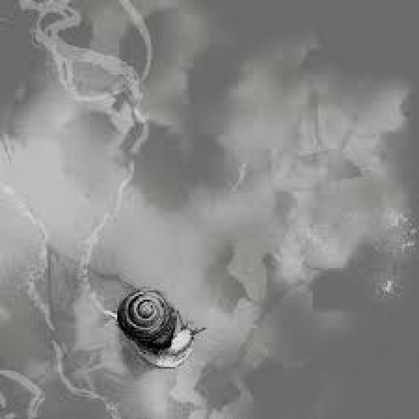 El Umbral de la Inopia 240_18/02/2025 episode artwork