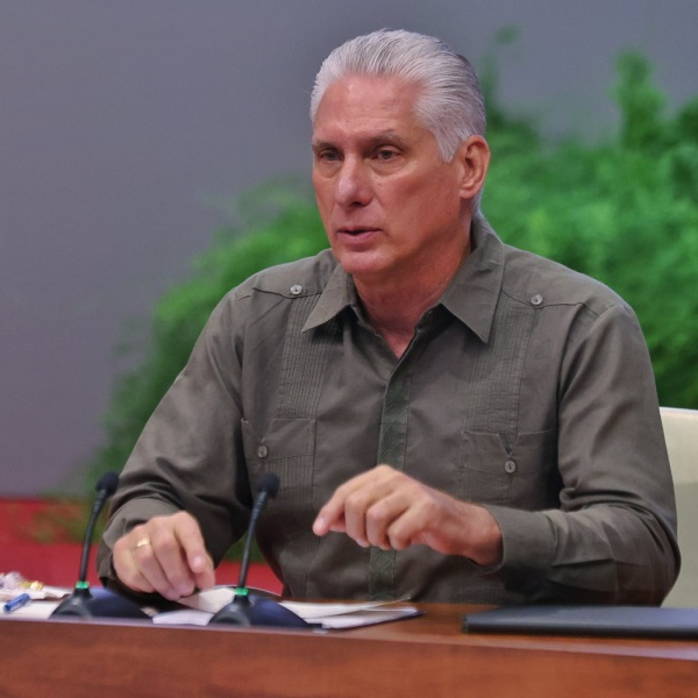 Díaz-Canel en XXV Cumbre ALBA-TCP