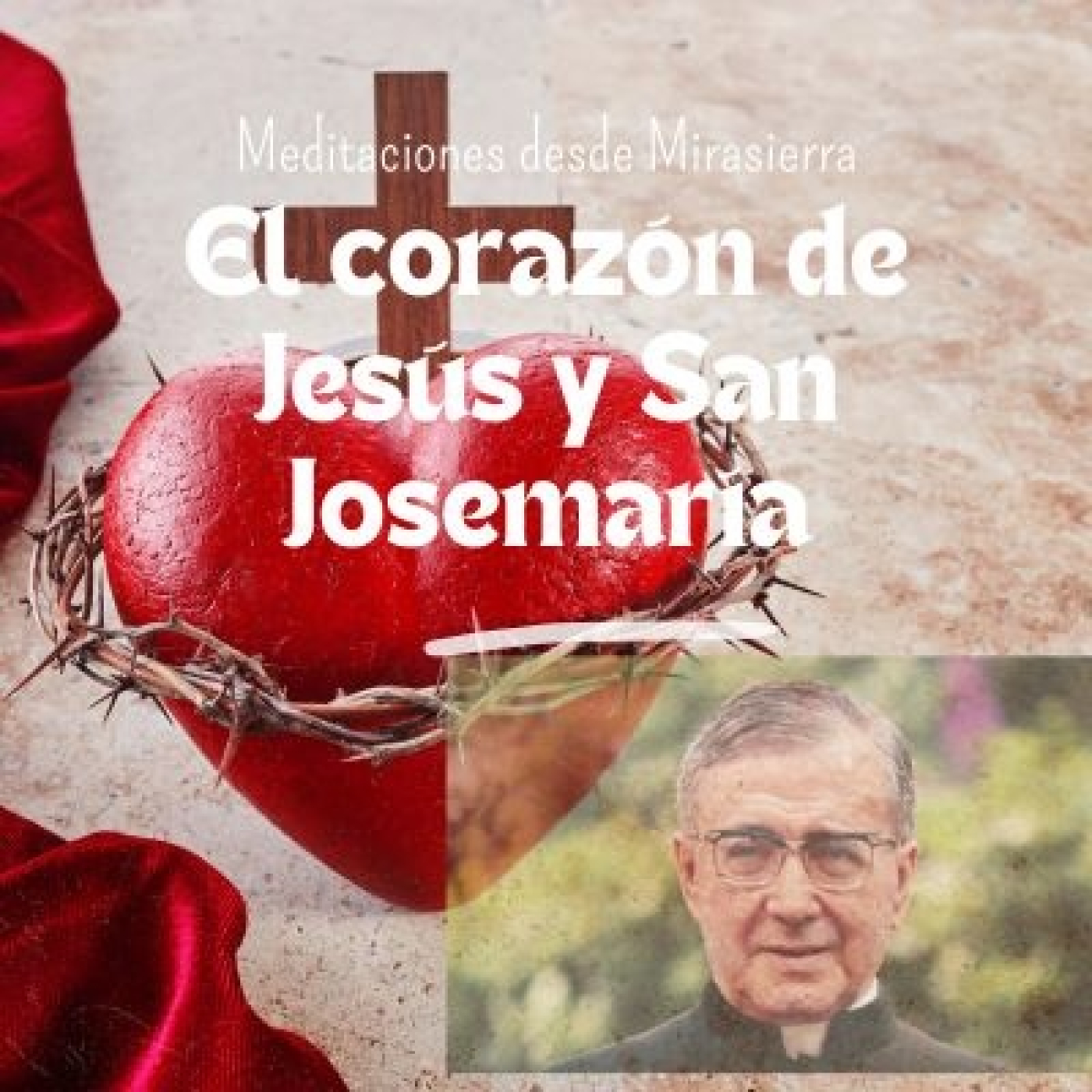 Meditaciones desde Mirasierra