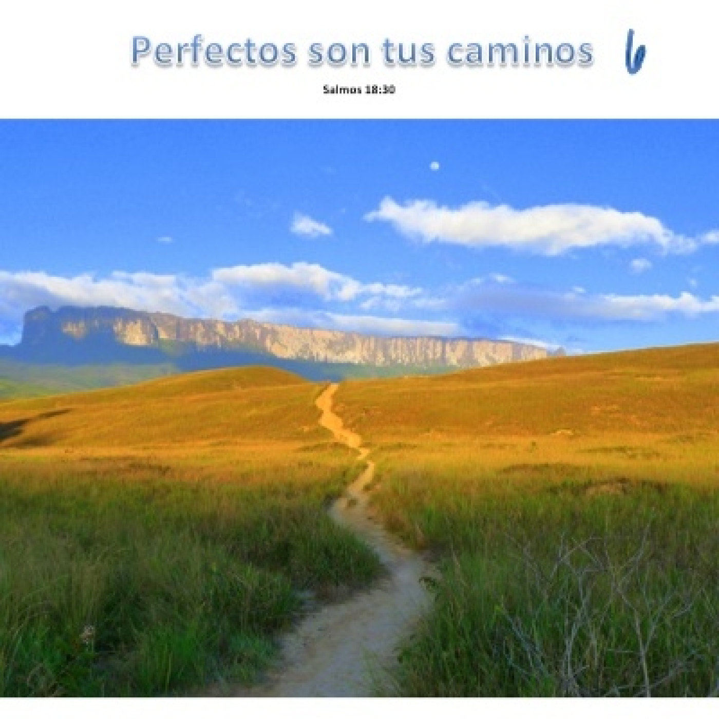 La creación episode artwork