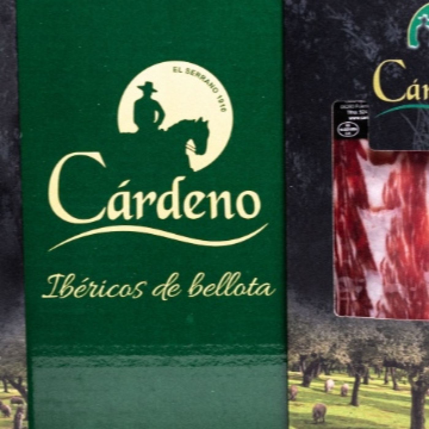 Turismo en \