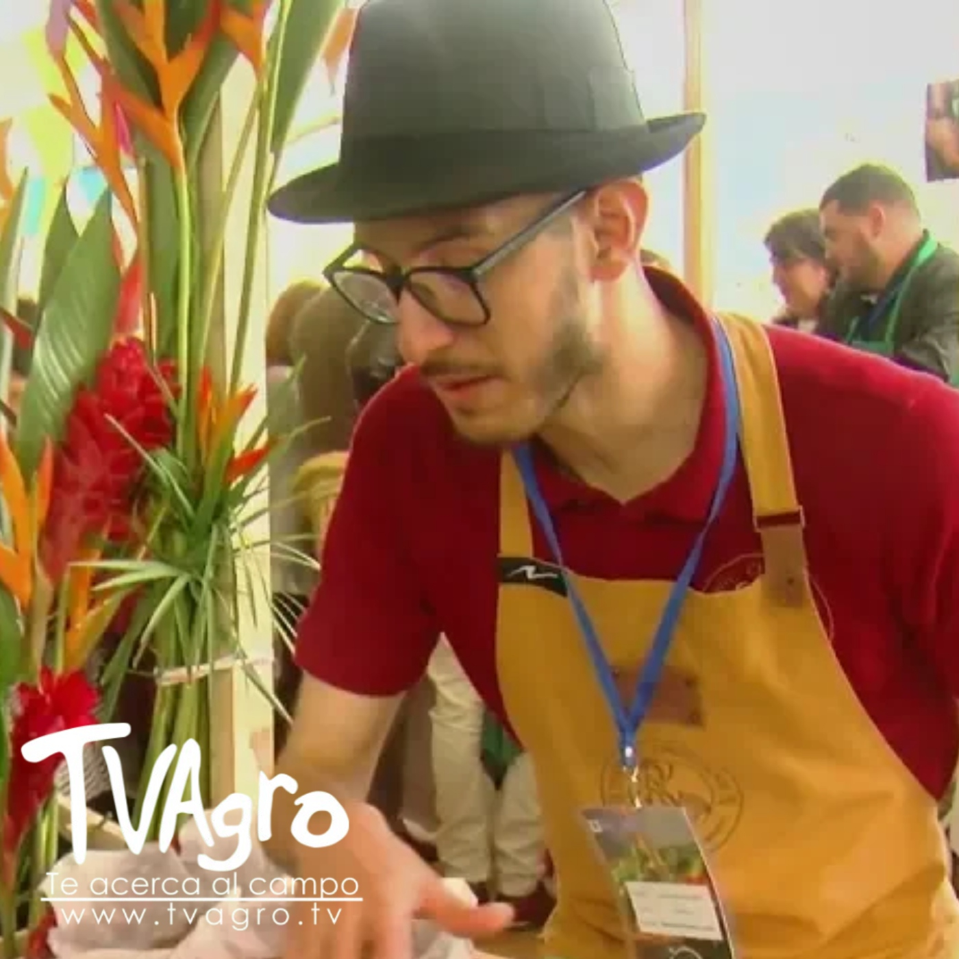 TV AGRO