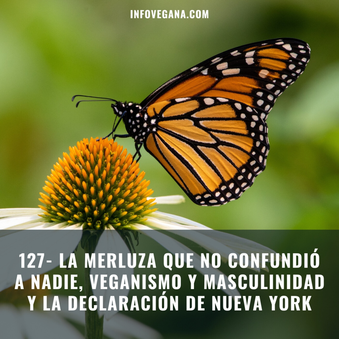 Infovegana, podcast de veganismo y sostenibilidad
