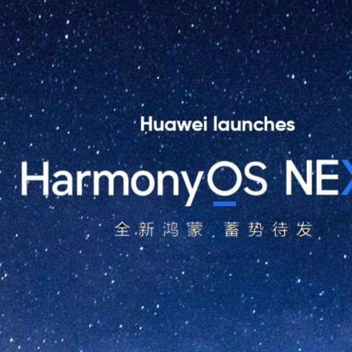 Ariel Marcelo Corgatelli