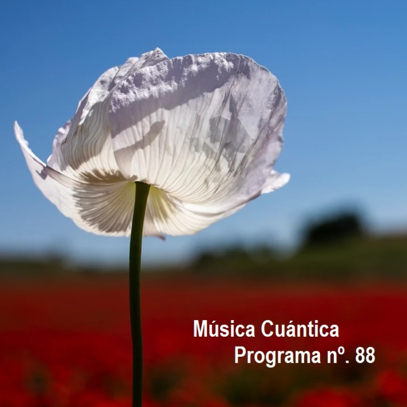 Música Cuántica