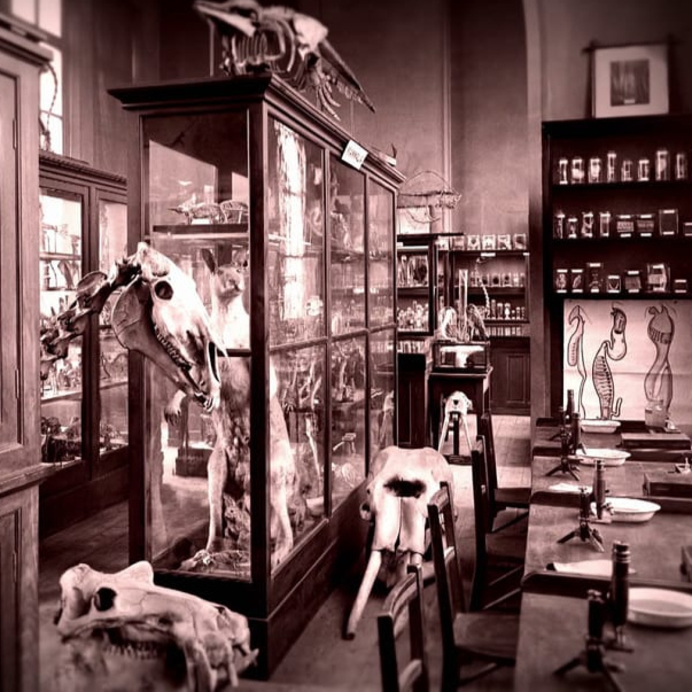 Lo inexplicable T6: Científicos locos