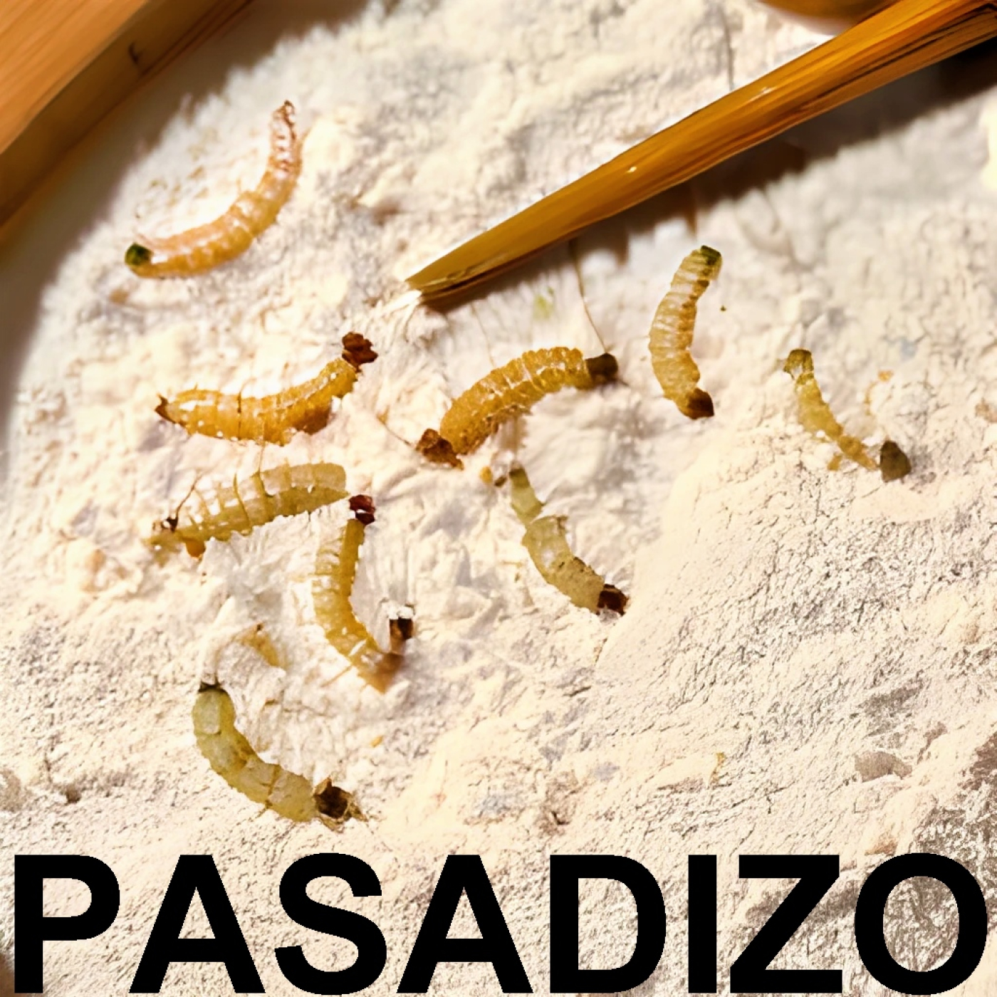 PASADIZO
