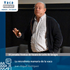 "La microbiota mamaria de la vaca" | Juan Miguel Rodríguez