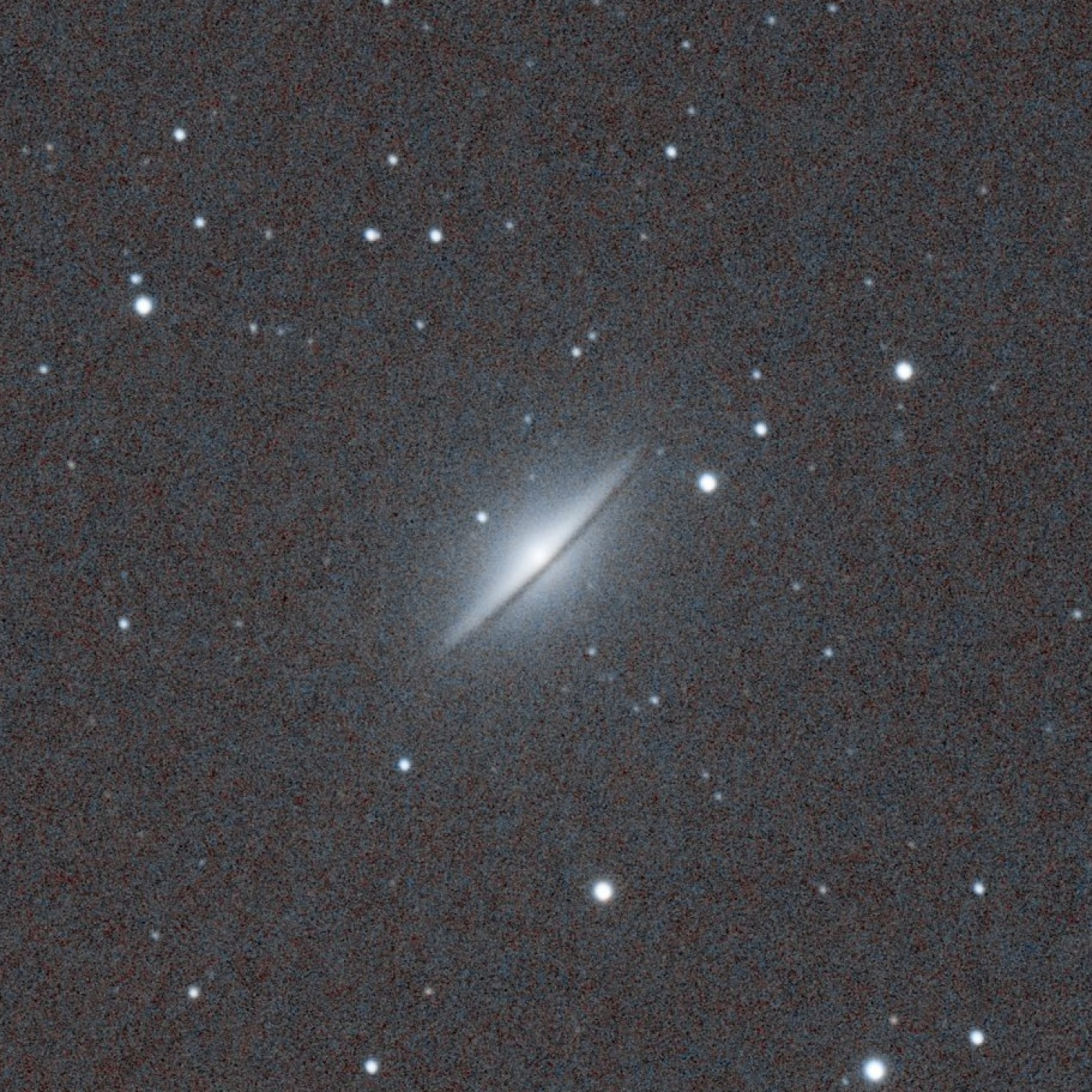 Bajo las estrellas, una mirada al universo