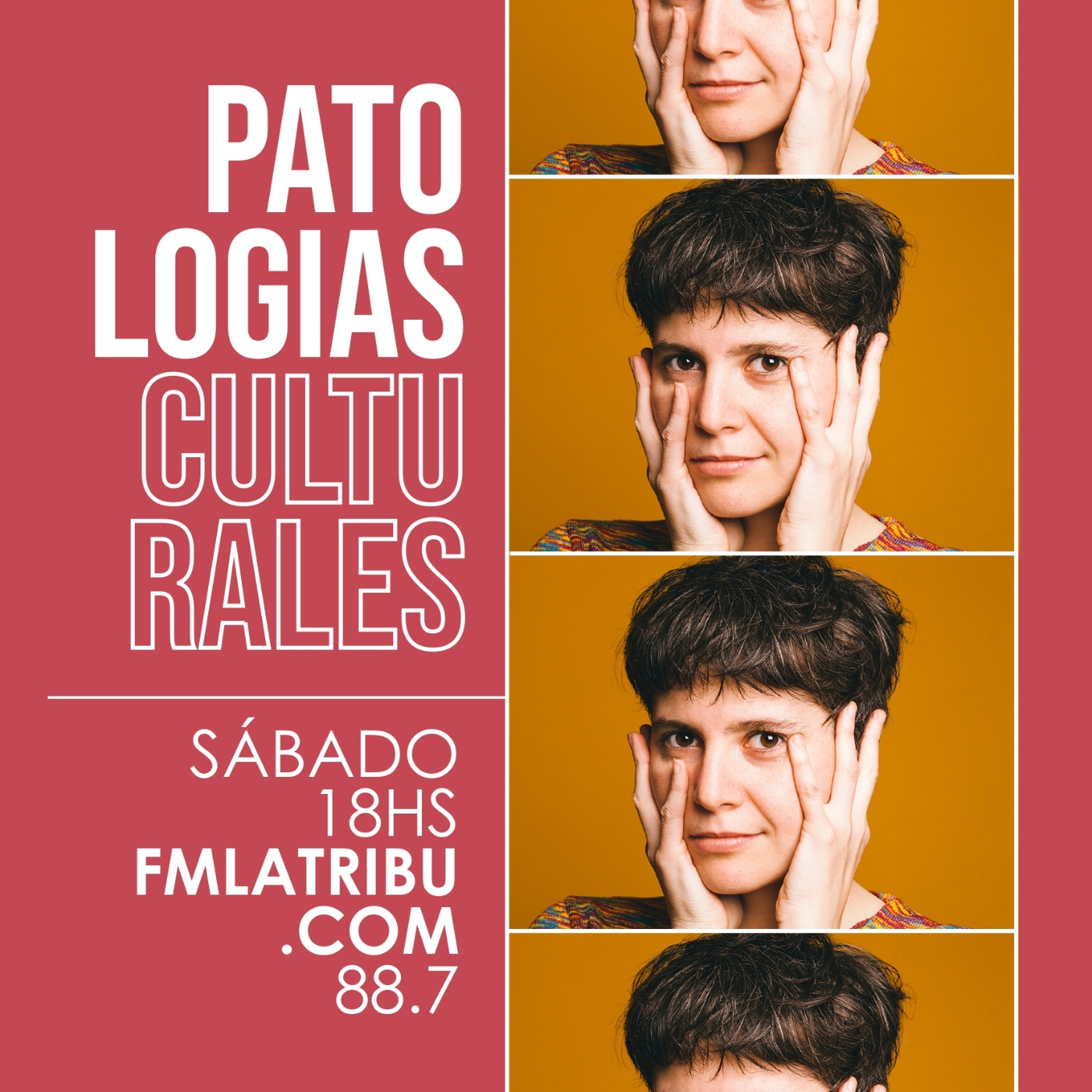 Patologías Culturales