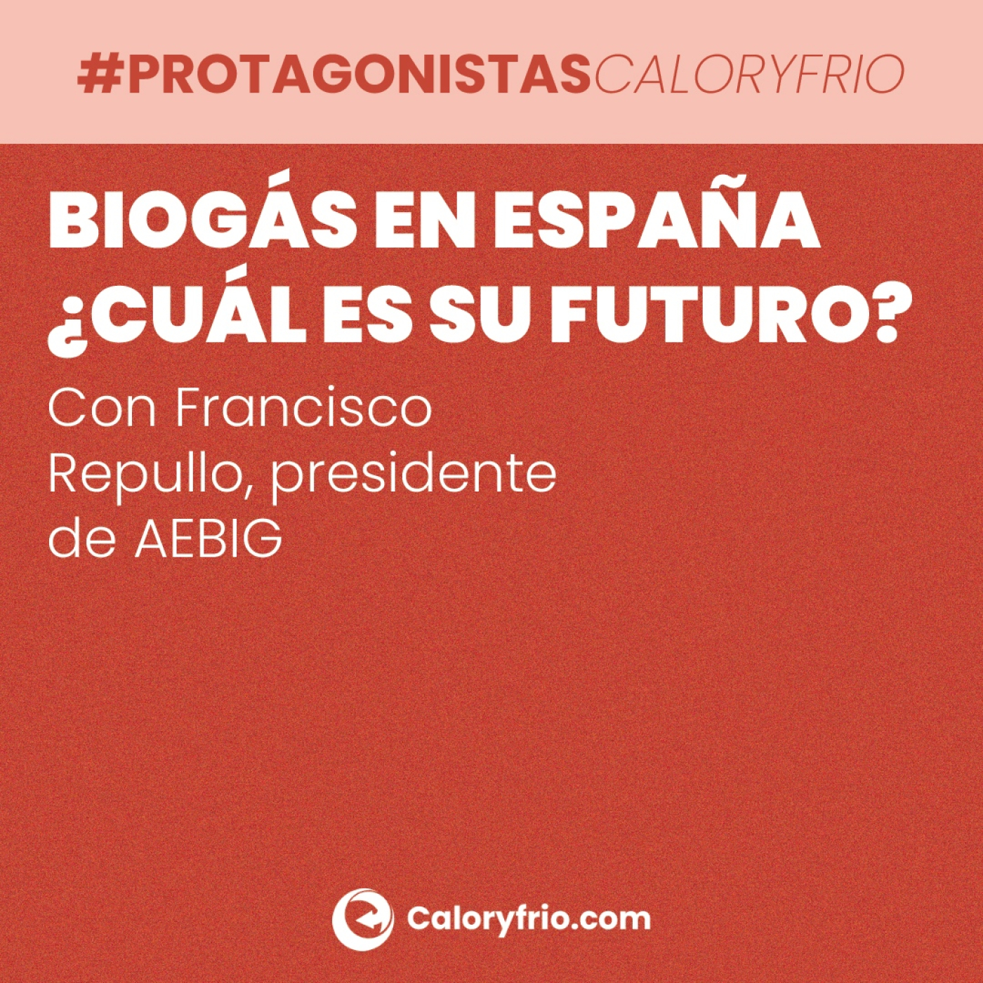 cover of episode Biogás en España ¿Cuál es su futuro? Con Francisco Repullo, presidente de AEBIG