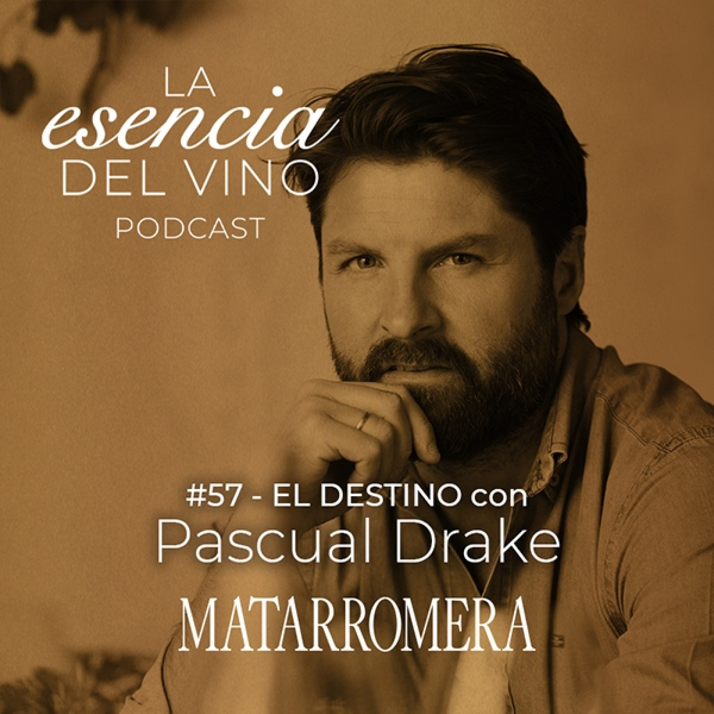 La Esencia del Vino - MATARROMERA