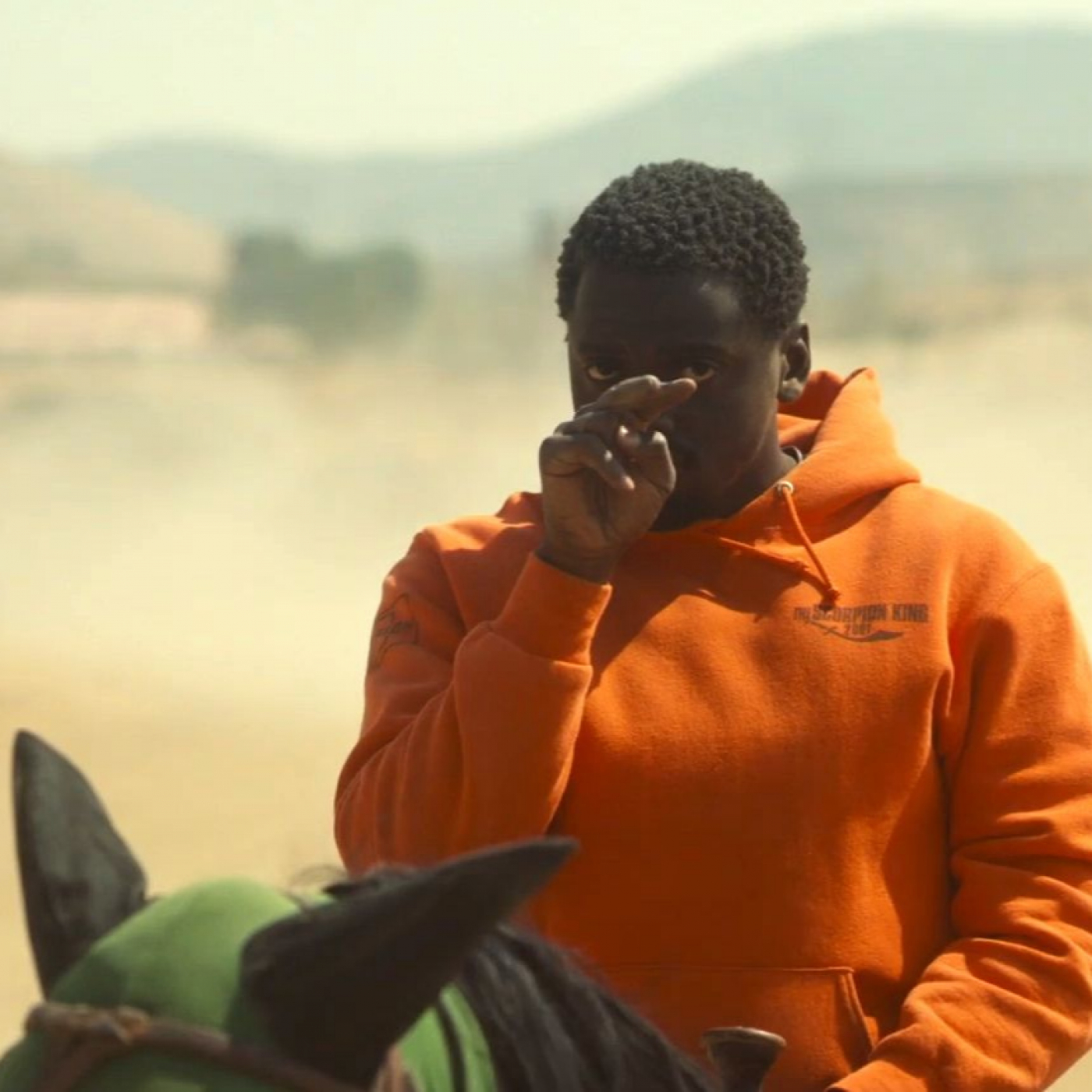 21.- NOPE (2022), director: Jordan Peele