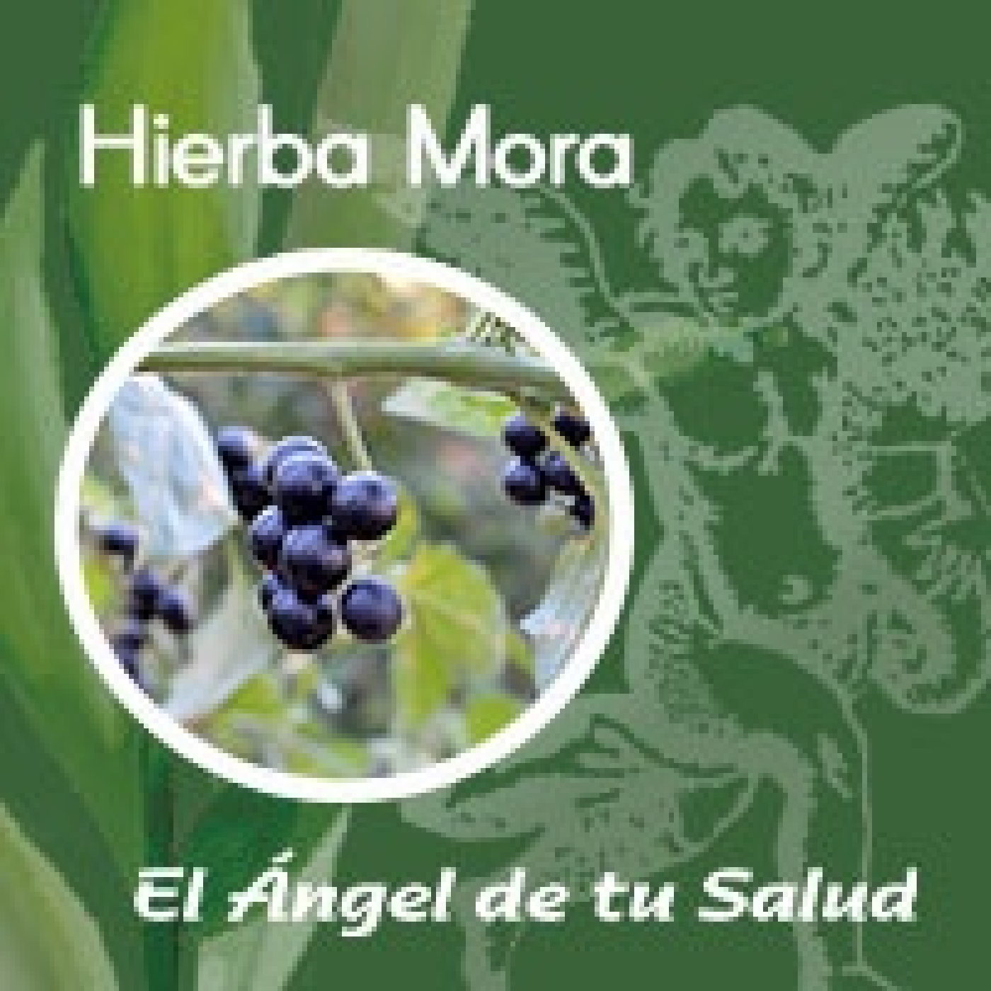 El Ángel de tu Salud - Hierba Mora** episode artwork