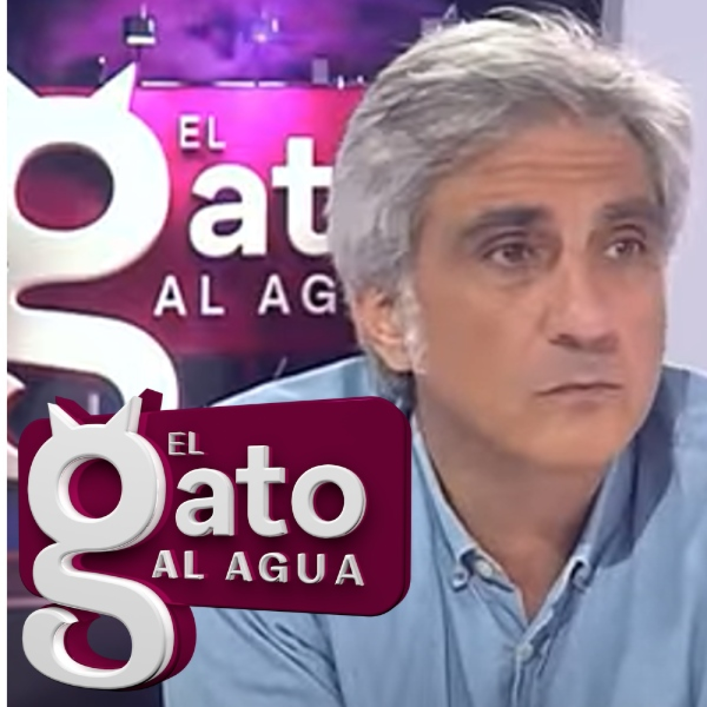 El Gato al agua