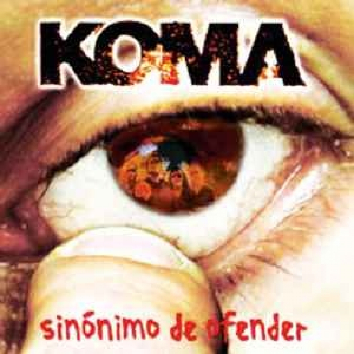 KOMA -Sinónimo-de-ofender. 2004 episode artwork
