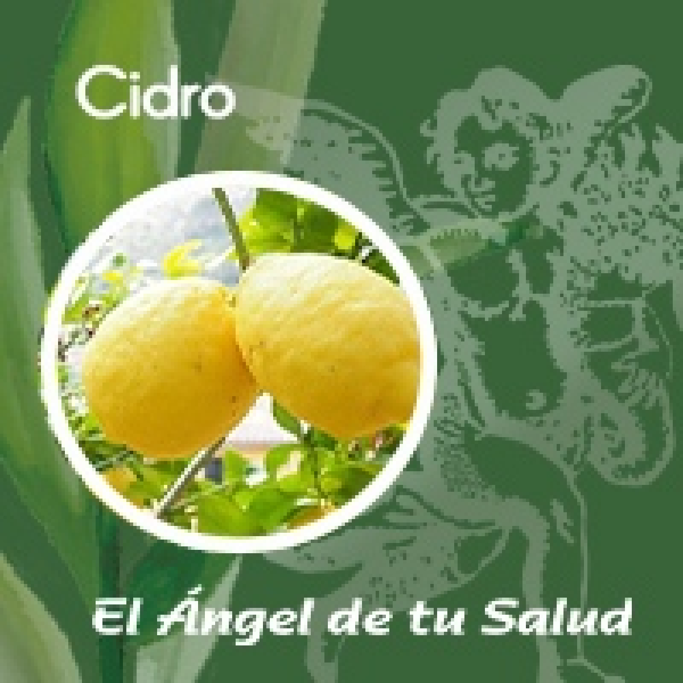 El Ángel de tu Salud - Cidro ** episode artwork