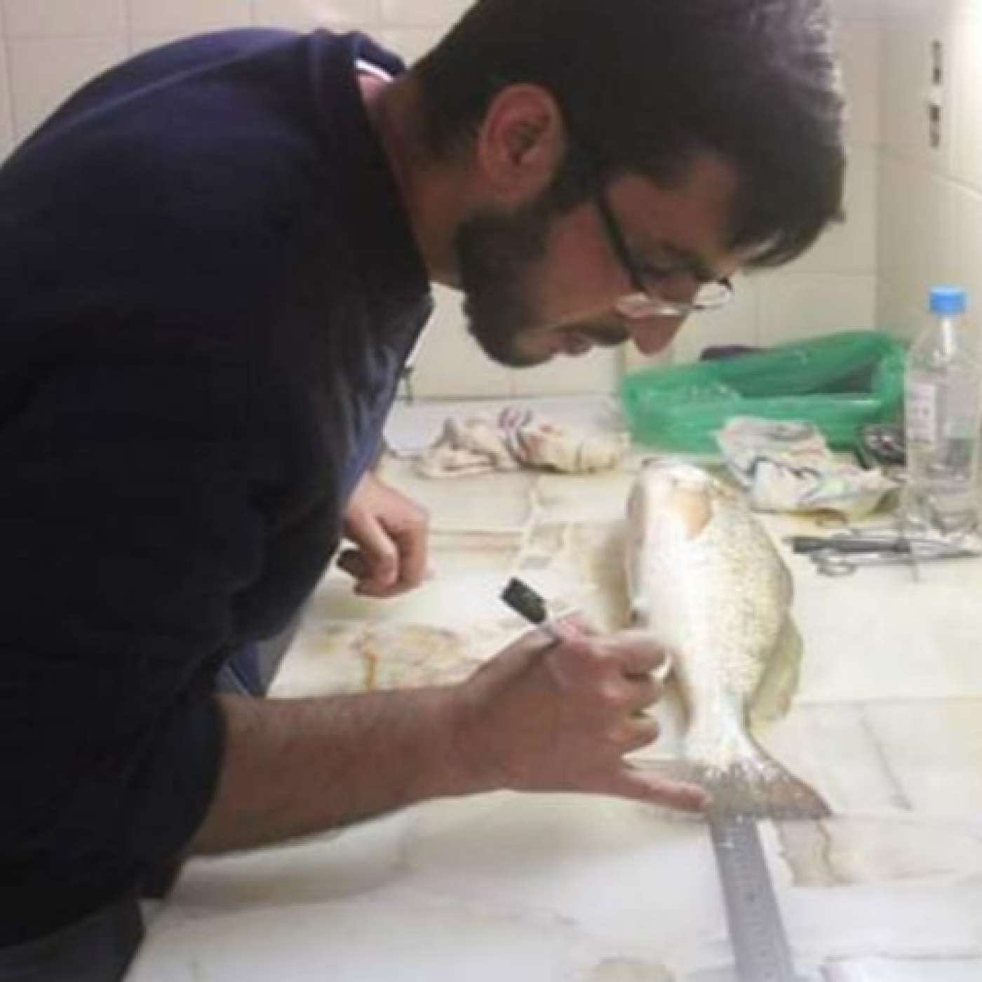 Planeta Pesca