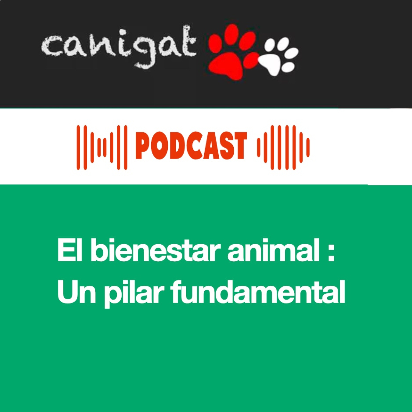 Consejos veterinarios de perros y gatos by canigat