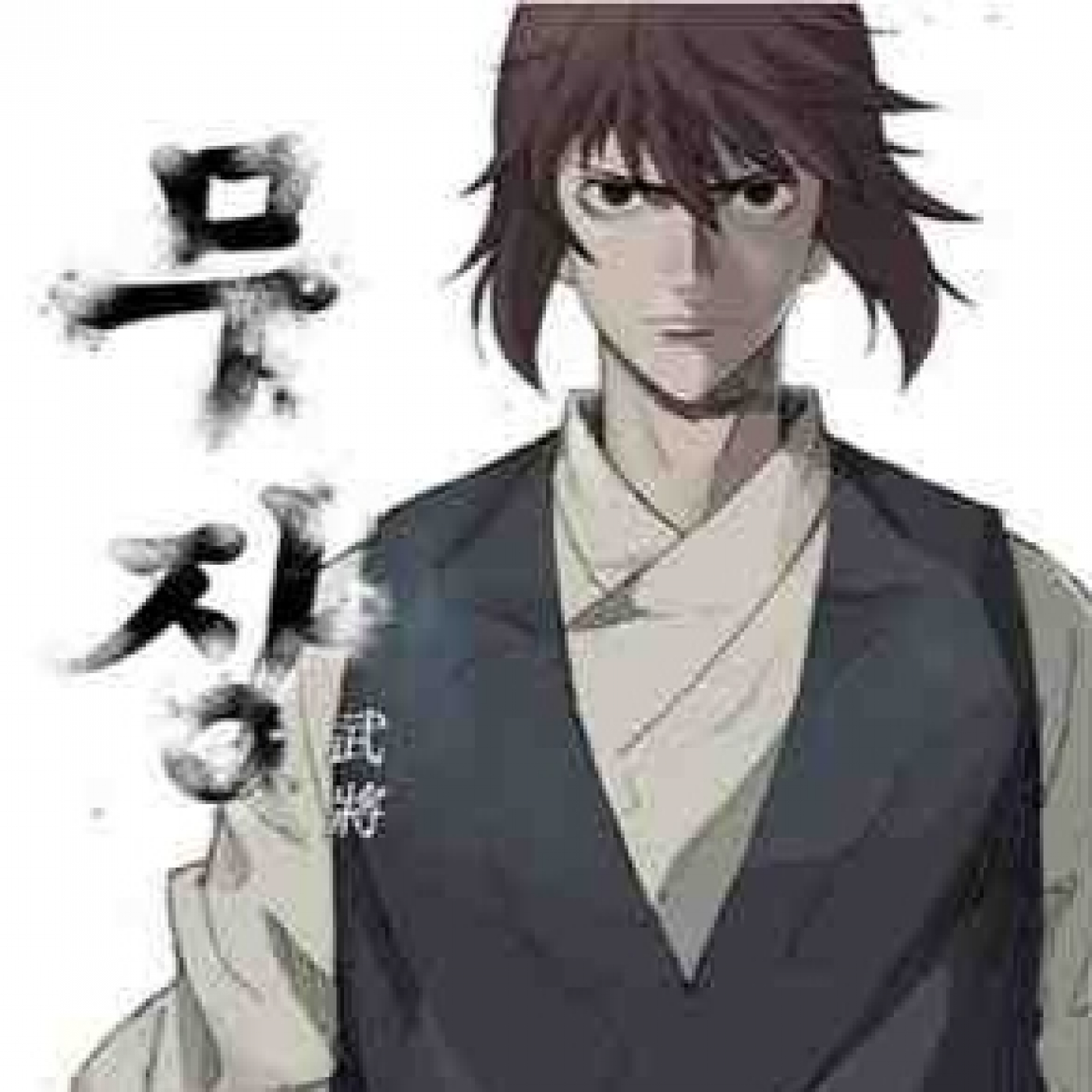 Mangas de Artes Marciales