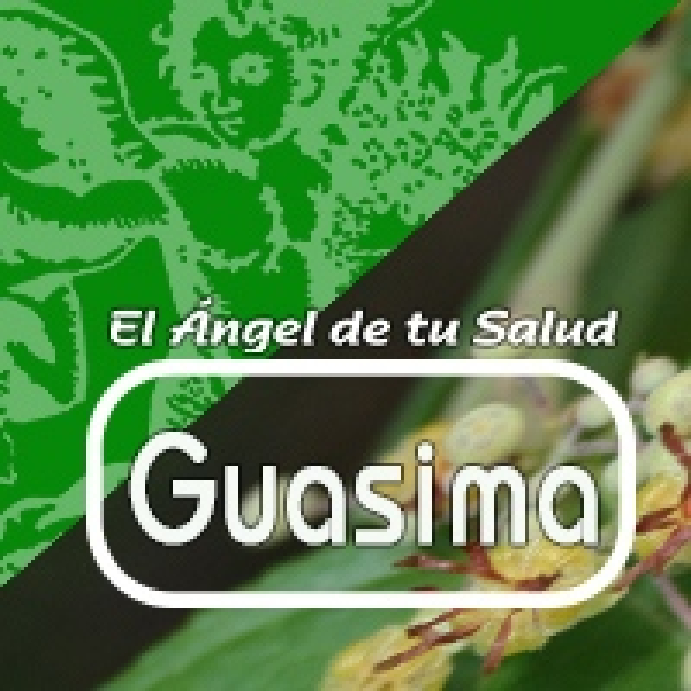 El Ángel de tu Salud - GUASIMA episode artwork