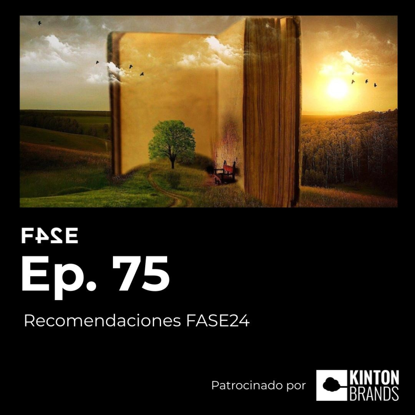 Fase24