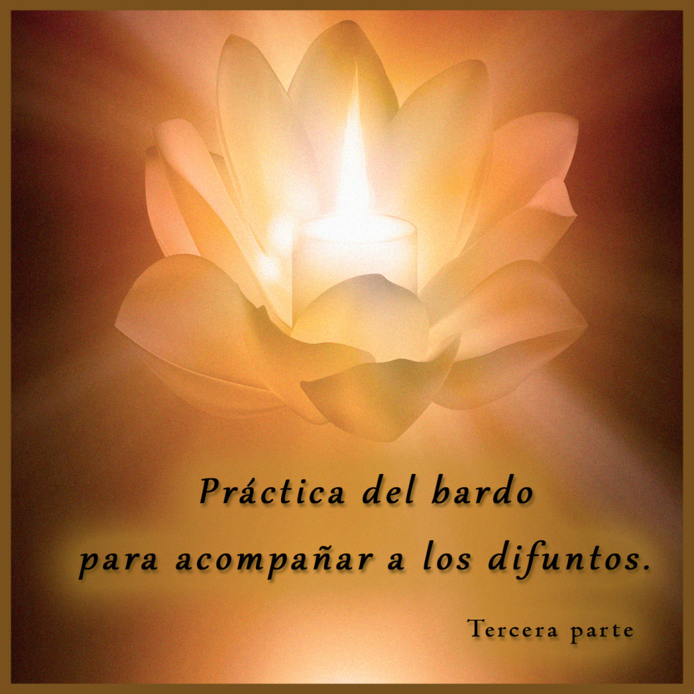 Meditación y Reflexión con Pedro Valencia