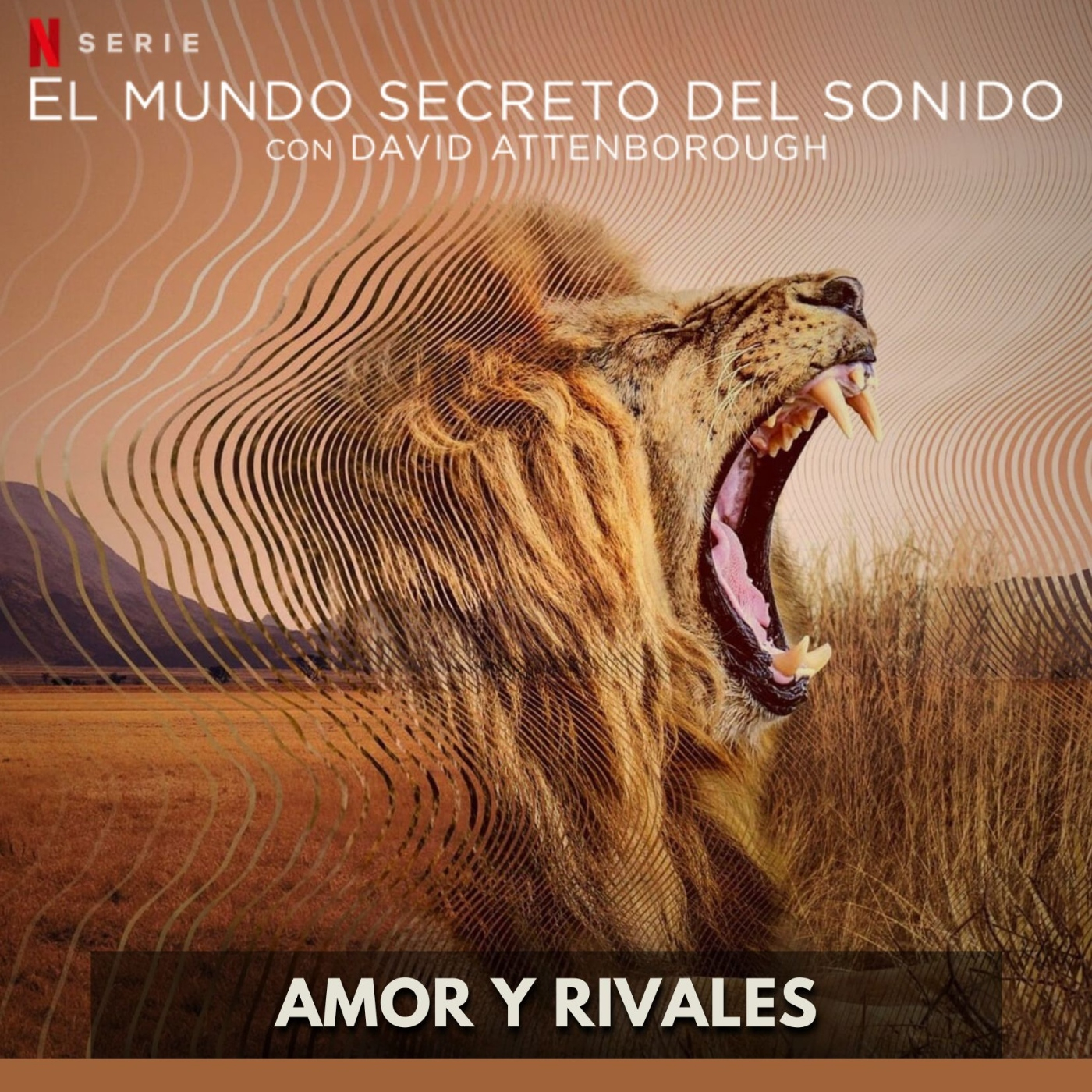 El Mundo Secreto del Sonido - Amor y Rivales episode artwork