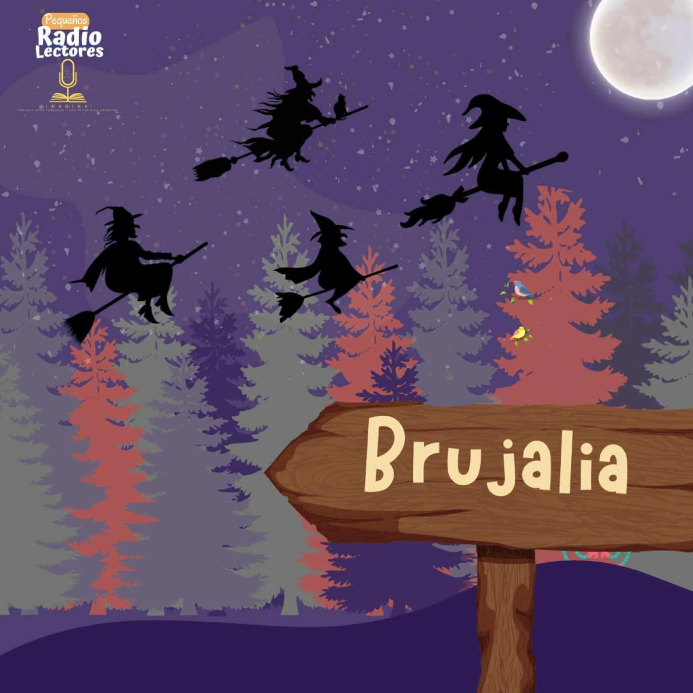 Cuentos para Imaginar- Brujalia
