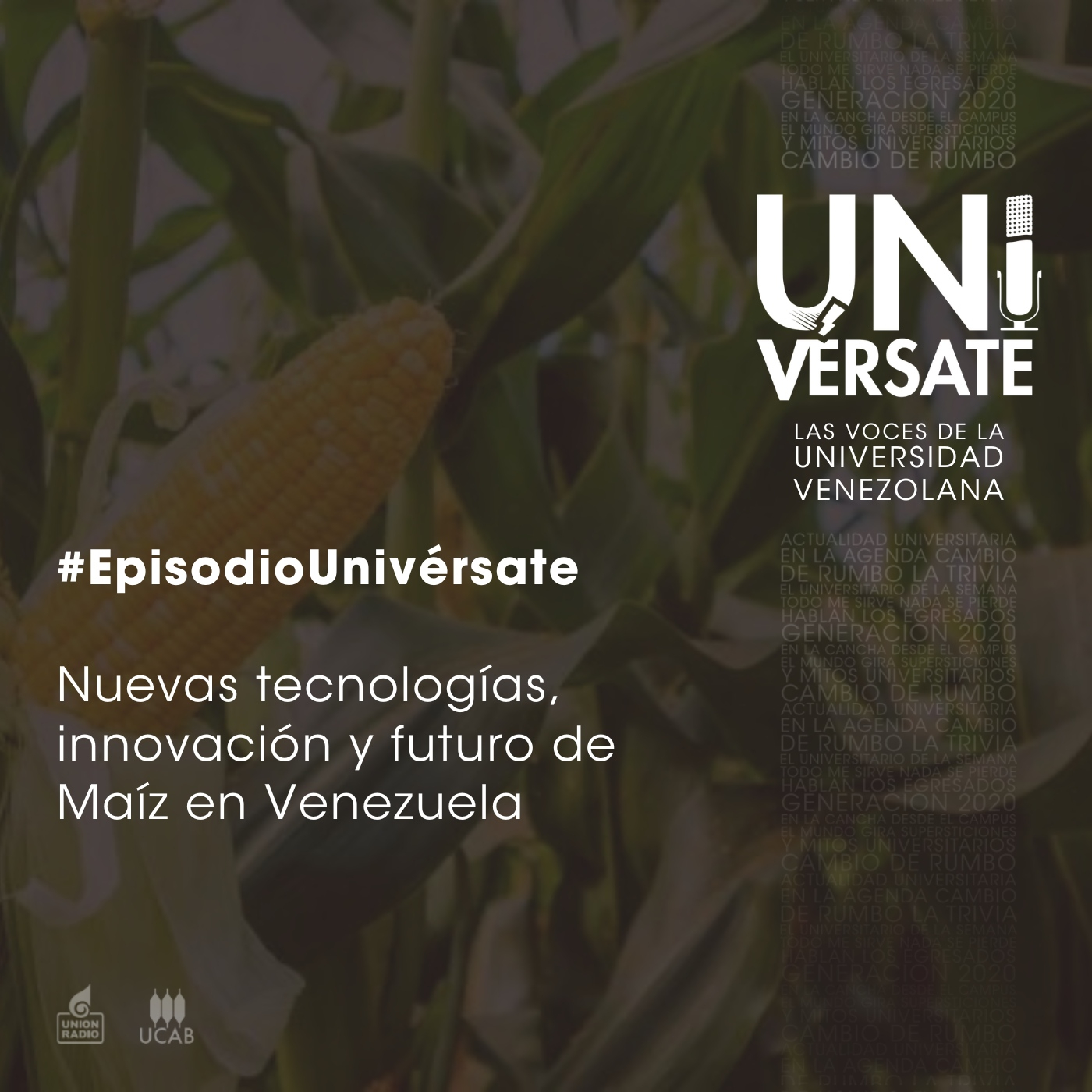 Producción Univérsate