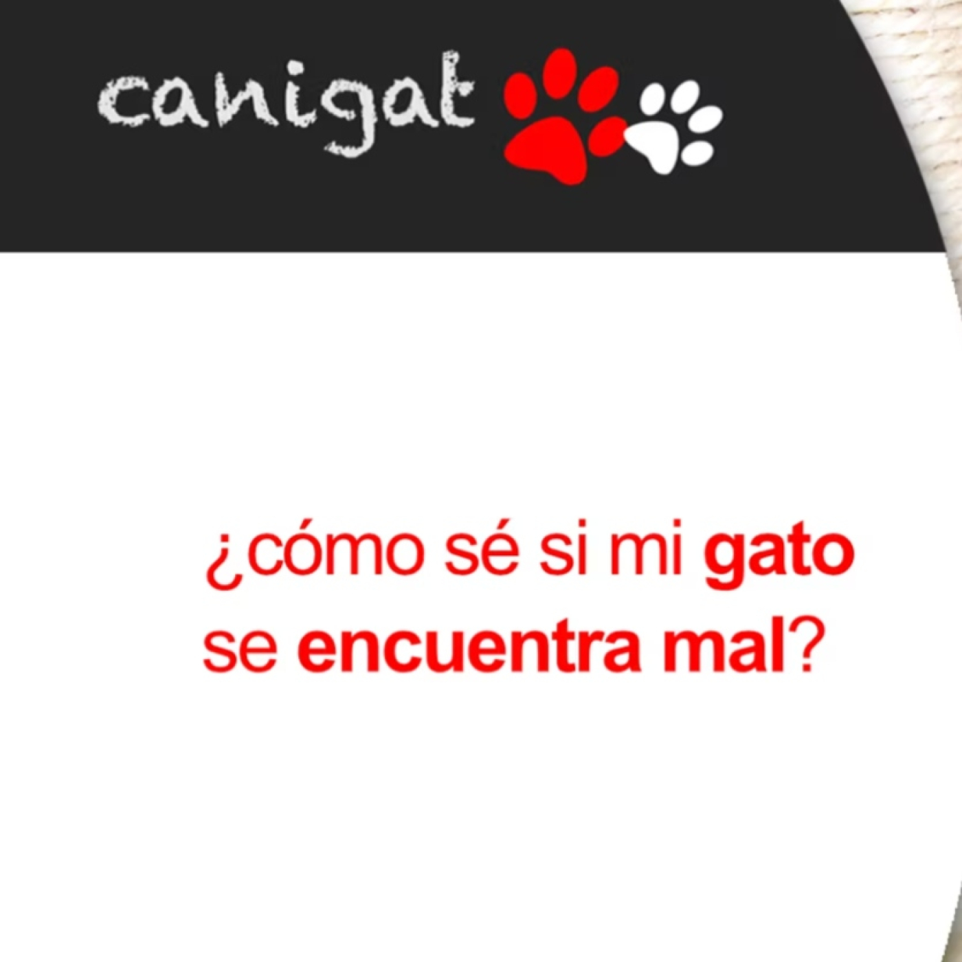 Consejos veterinarios de perros y gatos by canigat