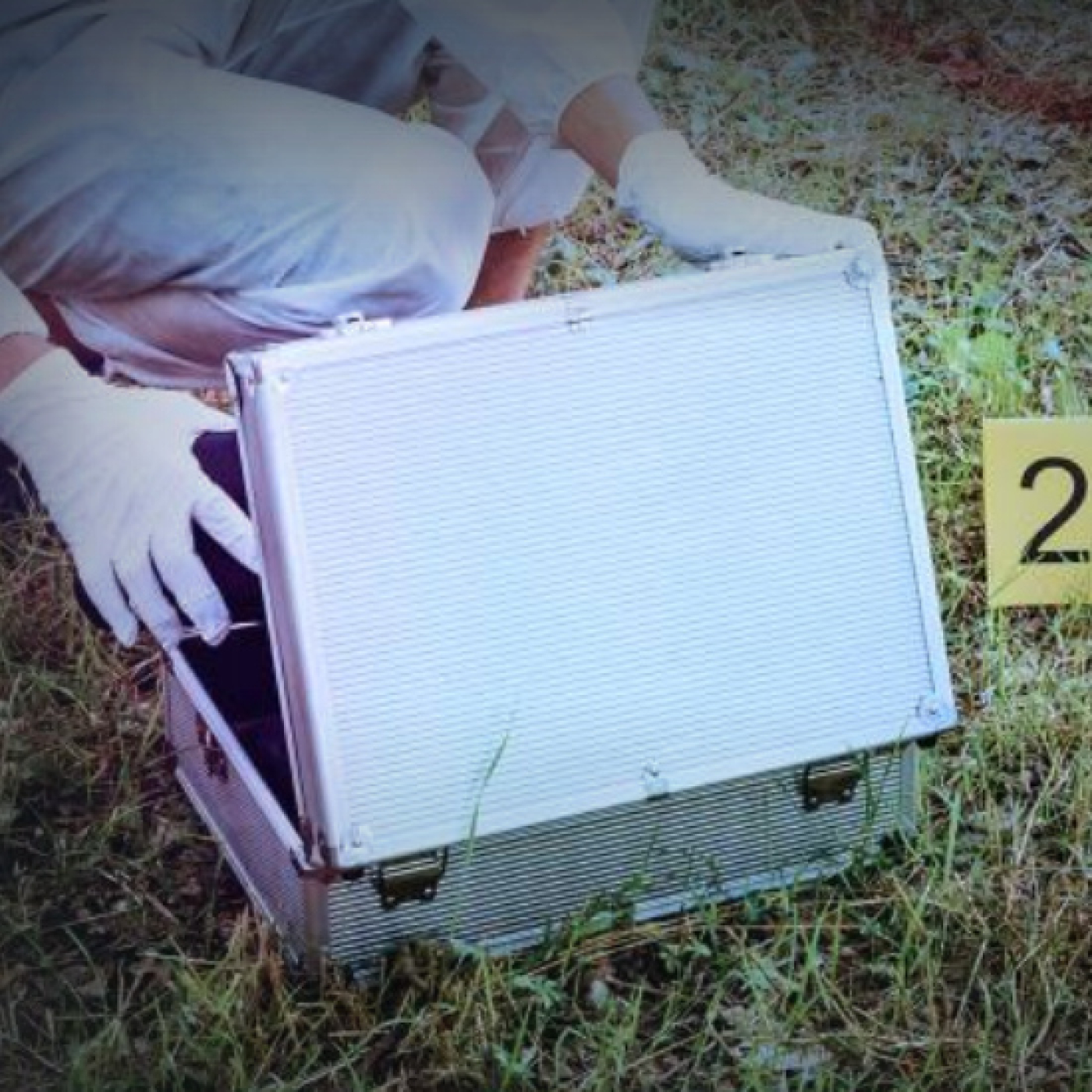 La Caja De Pandora: Calabozo Del Terror