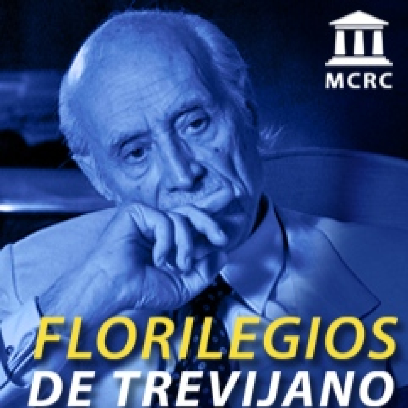 Radio Libertad Constituyente