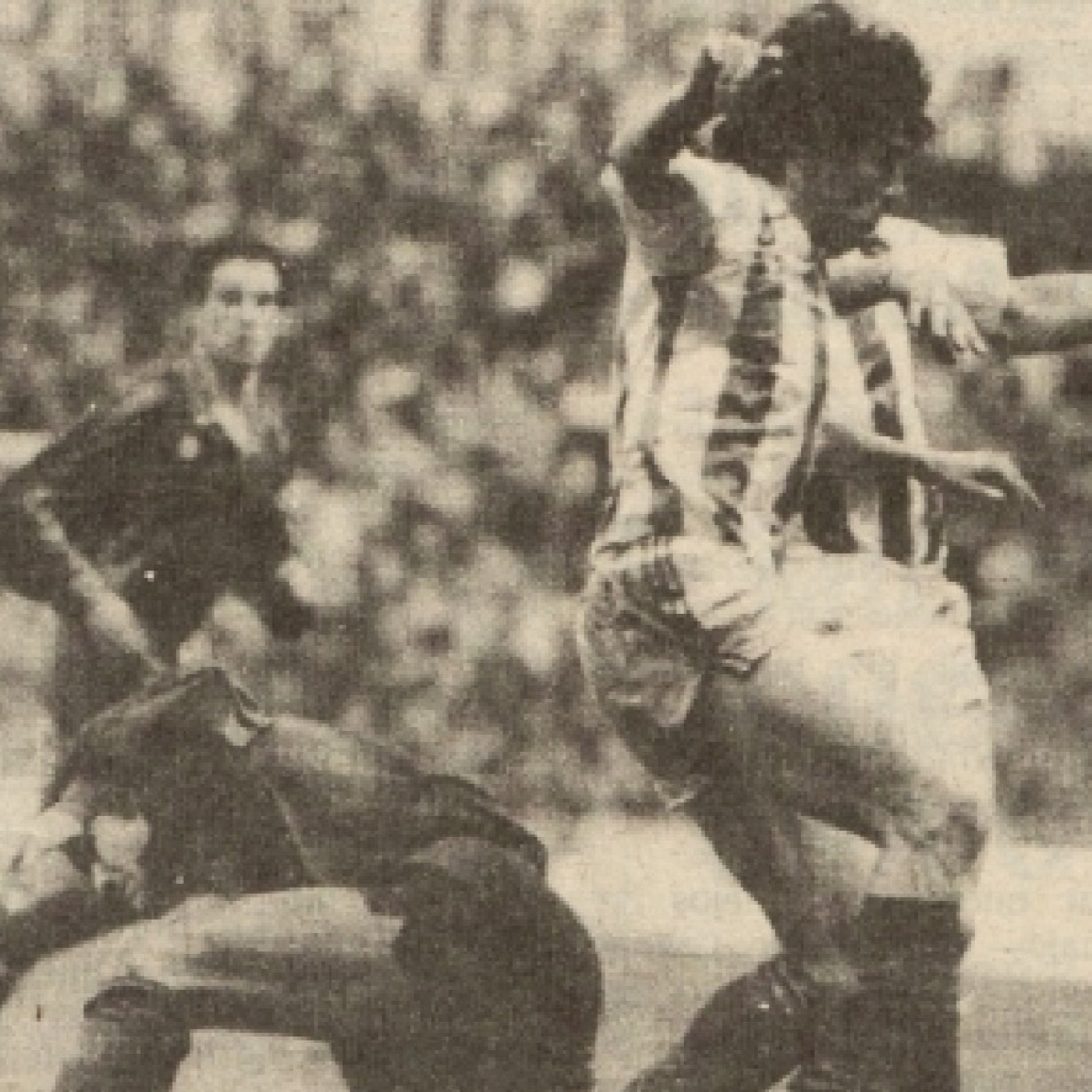 Corazón Txuri Urdin