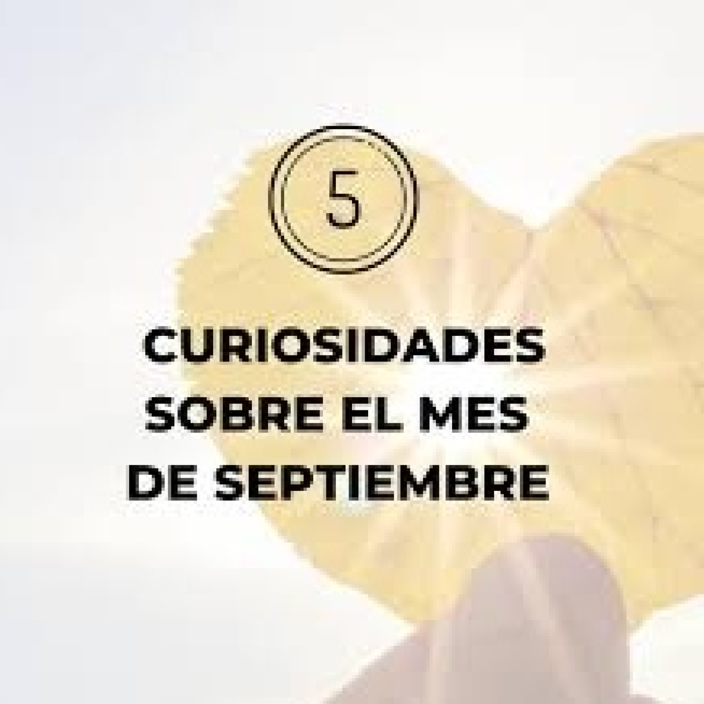 Programas de Radio Enciclopedia